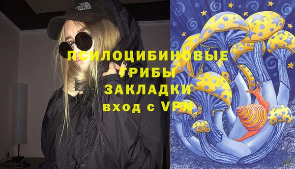 молекула духа Аркадак