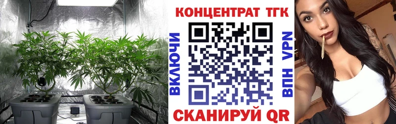 ТГК концентрат  ссылка на мегу ССЫЛКА  Сим 